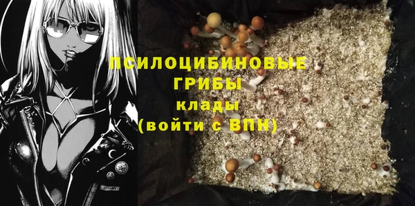 альфа пвп Нязепетровск