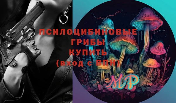 мдпв Новозыбков